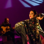 inspriacionflamenca-by-mary-nelle-brown